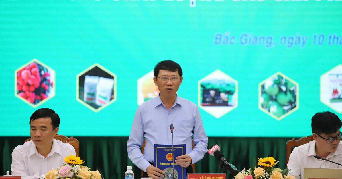 Nâng cao chất lượng sản phẩm OCOP tỉnh Bắc Giang năm 2022
