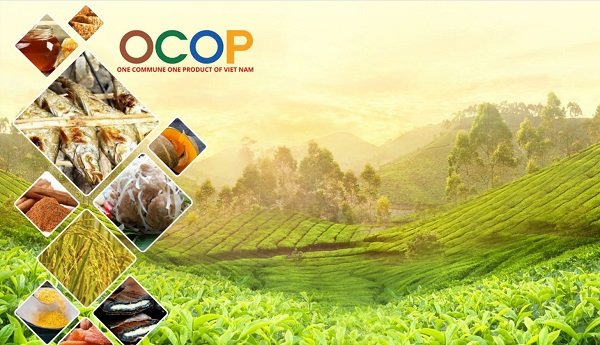 Chương trình OCOP, đòn bẩy để phát triền, nâng cao hiệu quả hoạt động của các HTX - Ảnh 1. Chương trình OCOP, đòn bẩy để phát triền, nâng cao hiệu quả hoạt động của các HTX - Ảnh 1.