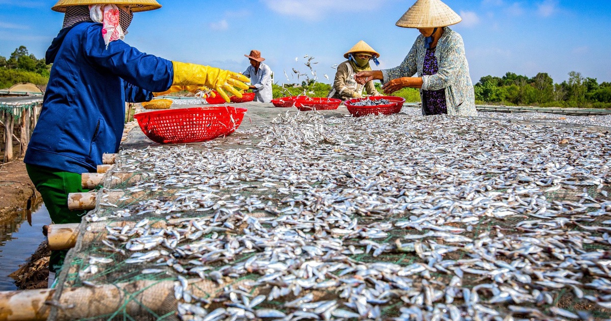 Bà Rịa-Vũng Tàu: Cơ hội quảng bá sản phẩm OCOP cho doanh nghiệp