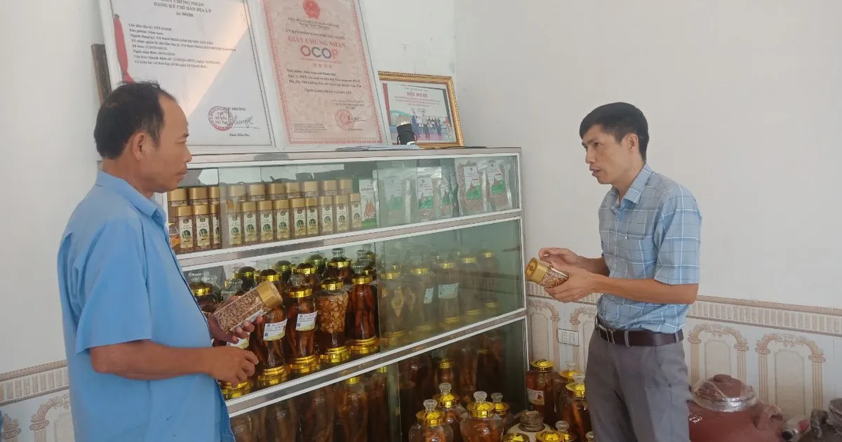 Phát triển thế mạnh sản phẩm OCOP tại Bắc Giang