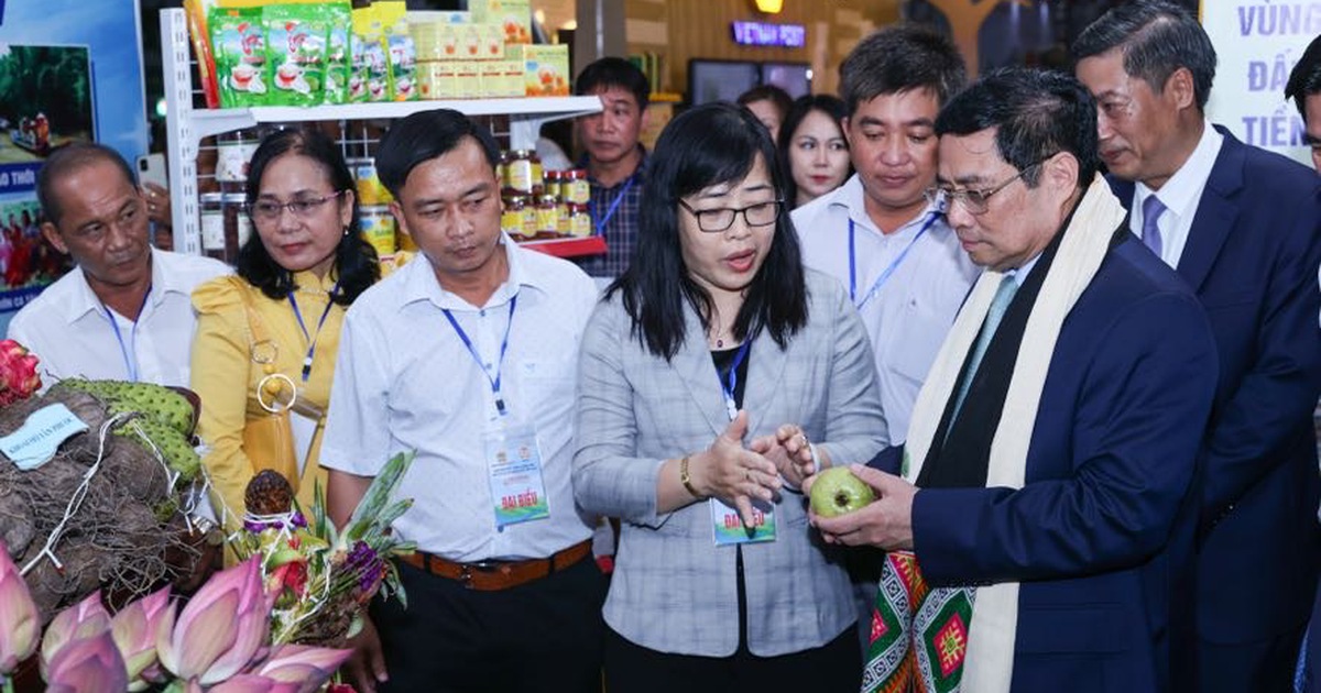 Thủ tướng dự Lễ khai mạc Festival trái cây và sản phẩm OCOP Việt Nam năm 2022
