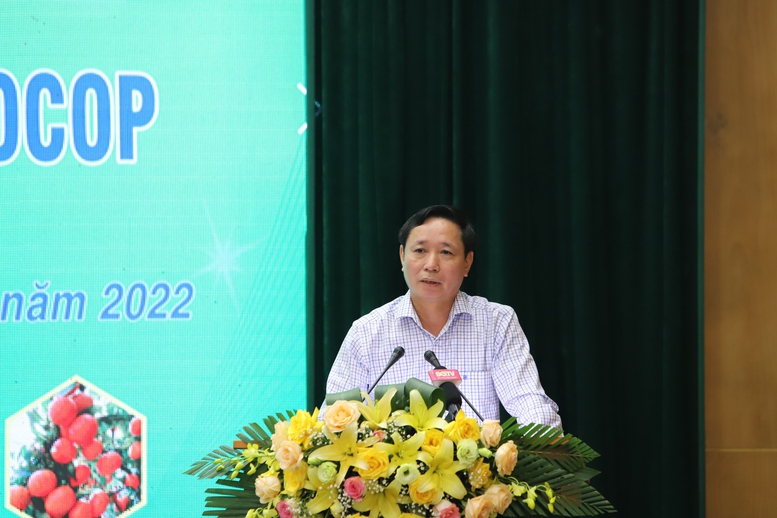 Nâng cao chất lượng sản phẩm OCOP tỉnh Bắc Giang năm 2022 - Ảnh 4.