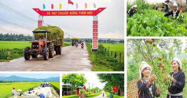 Chương trình OCOP, đòn bẩy để phát triền, nâng cao hiệu quả hoạt động của các HTX