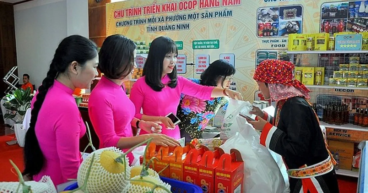 Ban hành Bộ tiêu chí và quy trình đánh giá, phân hạng sản phẩm Chương trình mỗi xã một sản phẩm