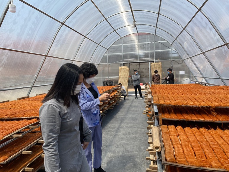 Phát huy lợi thế, đẩy mạnh giải pháp nâng cao sản phẩm OCOP tỉnh Bắc Giang - Ảnh 2.