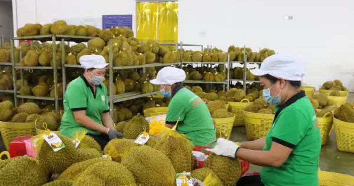 Bến Tre: Khơi dậy tiềm năng, lợi thế khu vực nông thôn từ chương trình OCOP
