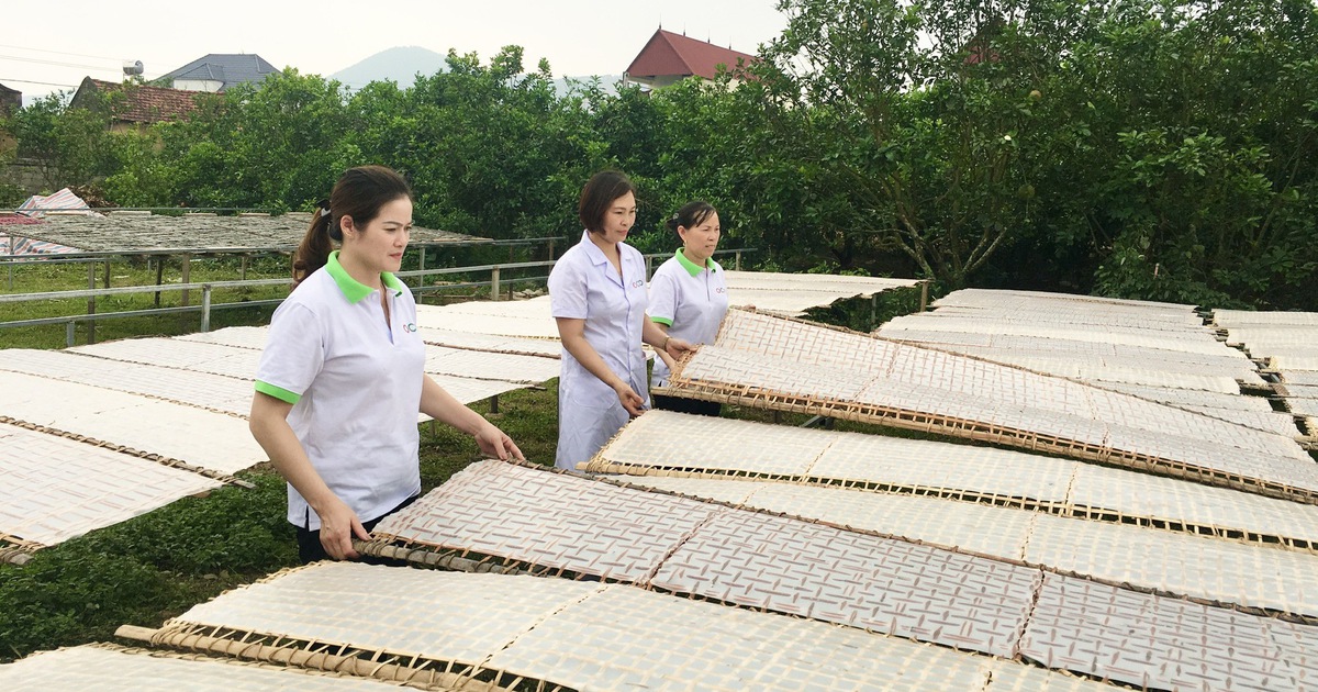 Bảo hộ quyền sở hữu trí tuệ cho các sản phẩm OCOP