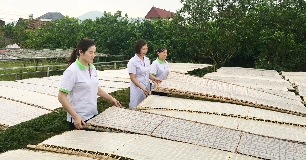 Bảo hộ quyền sở hữu trí tuệ cho các sản phẩm OCOP