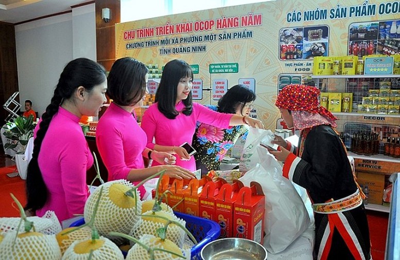 Ban hành Bộ tiêu chí và quy trình đánh giá, phân hạng sản phẩm Chương trình mỗi xã một sản phẩm - Ảnh 1.