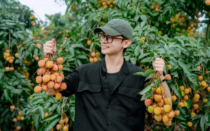 Vải thiều Bắc Ninh thắng lớn, tổng doanh thu vượt 9.000 tỉ đồng - Ảnh 2.