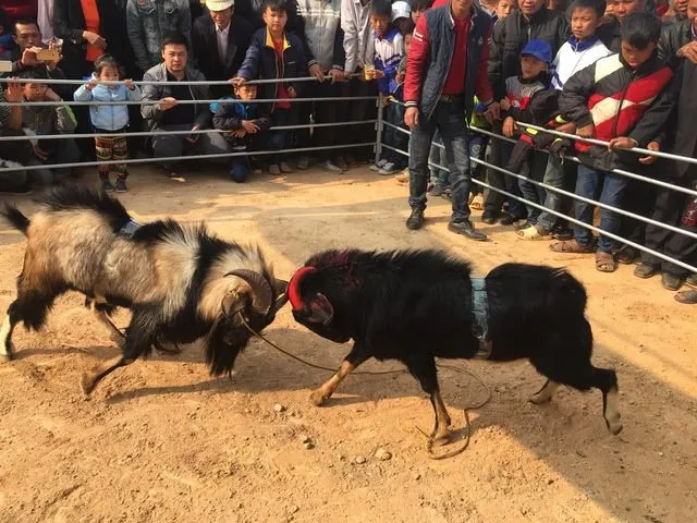 Về Yên Thế hôm nay