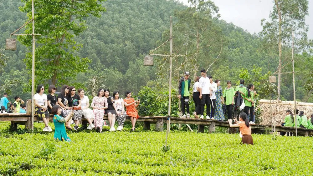 Du khách chụp ảnh trên cây cầu gỗ giữa vườn chè xanh. Du khách chụp ảnh trên cây cầu gỗ giữa vườn chè xanh.