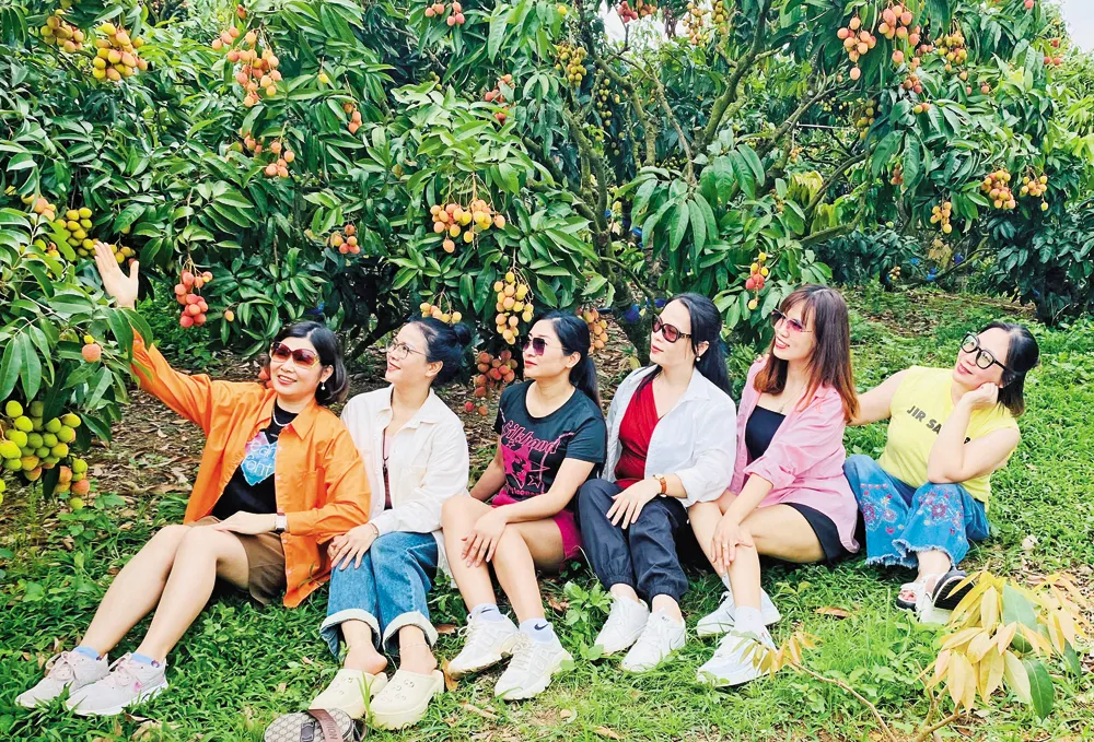 Tiềm năng phát triển du lịch nông nghiệp ở Bắc Ninh