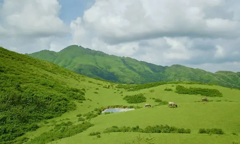 Khám phá "Đà Lạt thu nhỏ" ở Bắc Giang chỉ cách Hà Nội 100km