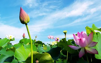 Nghị quyết 92 - động lực để ngành Du lịch bứt phá trong thời gian tới