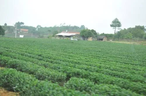 Đặc sản núi rừng Yên Thế