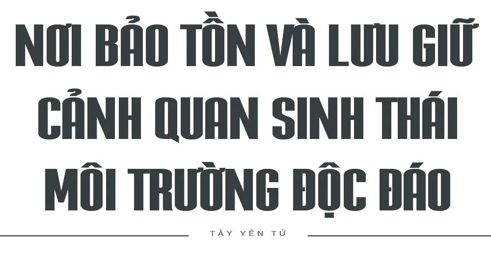 giá trị tiêu biểu, nổi bật toàn cầu, hệ thống di tích, danh thắng Tây Yên Tử, Tây Yên Tử
