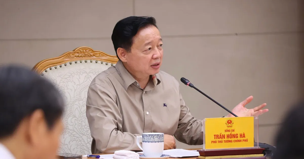 Phát triển OCOP thành thương hiệu Việt Nam, đạt chuẩn quốc tế trên thị trường toàn cầu
