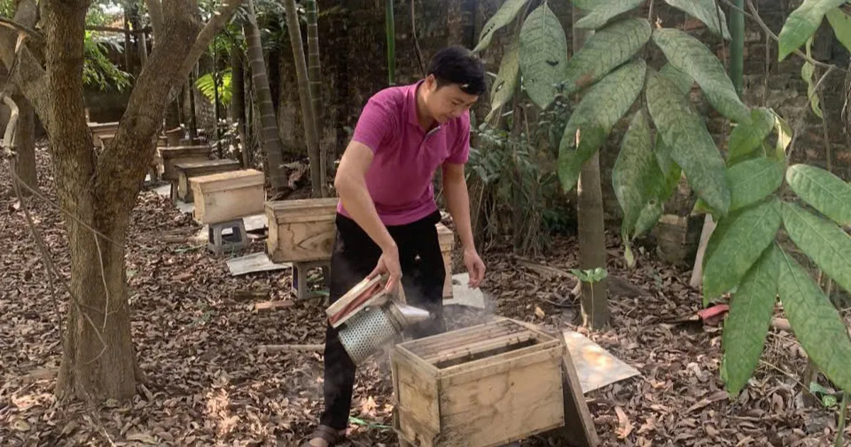 Khẳng định thương hiệu nông sản sạch từ sản phẩm OCOP