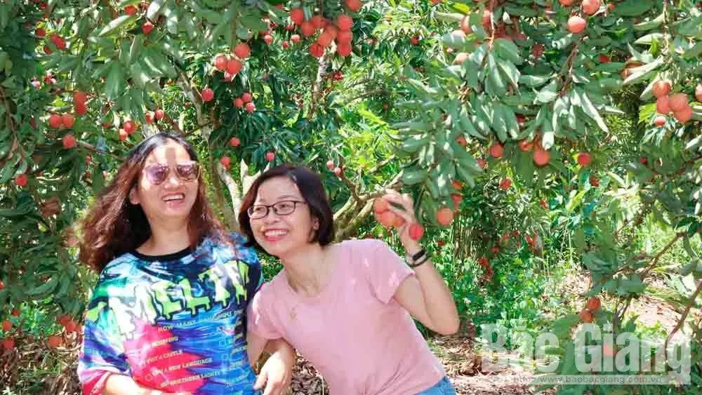 Lục Ngạn- tiềm năng du lịch sinh thái, tâm linh