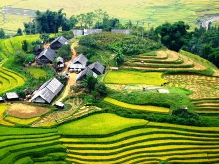 Những điểm đến tuyệt vời cho tuần trăng mật mùa thu