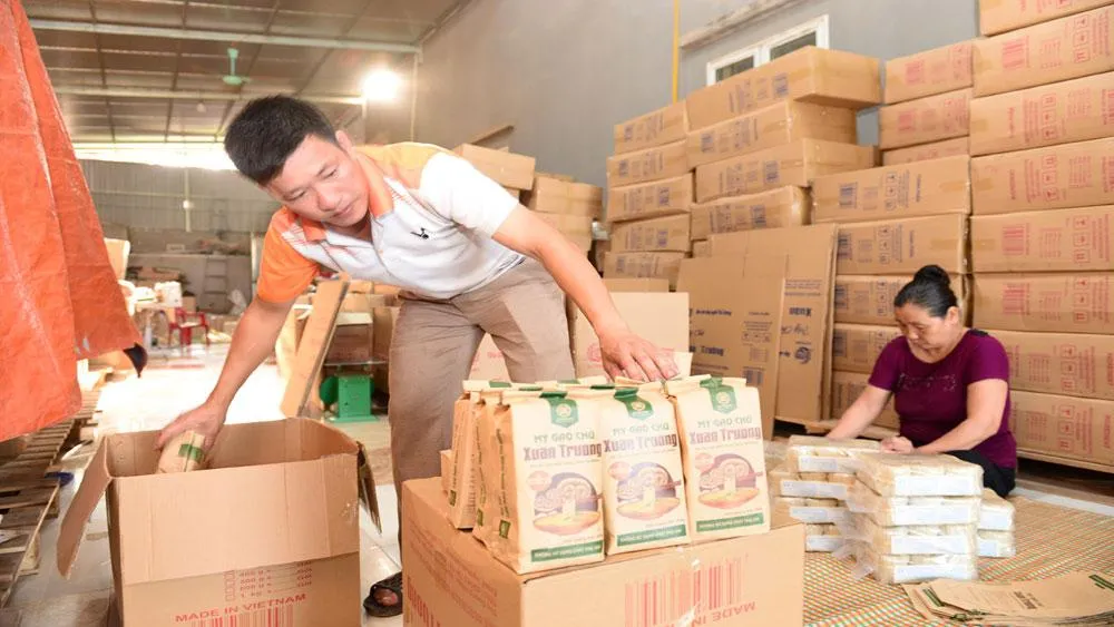 Đóng gói sản phẩm mỳ Chũ Xuân Trường, thôn Thủ Dương, xã Nam Dương (Lục Ngạn).
