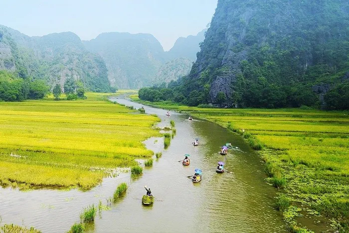 song_di_san_viet_nam