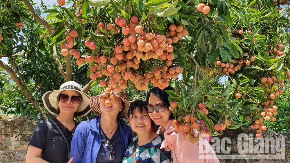 Du lịch nội địa tăng mạnh