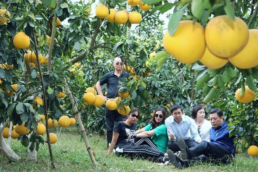 Đánh thức tiềm năng phát triển du lịch