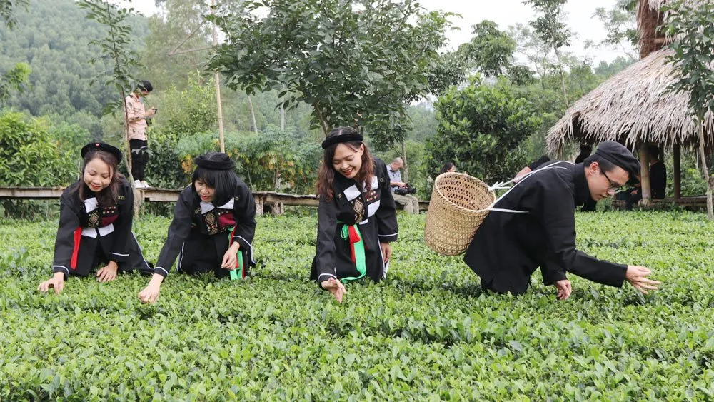 Bắc Giang liên kết phát triển du lịch: DN, hợp tác xã là trung tâm