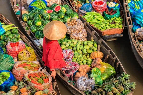 Việt Nam và 6 