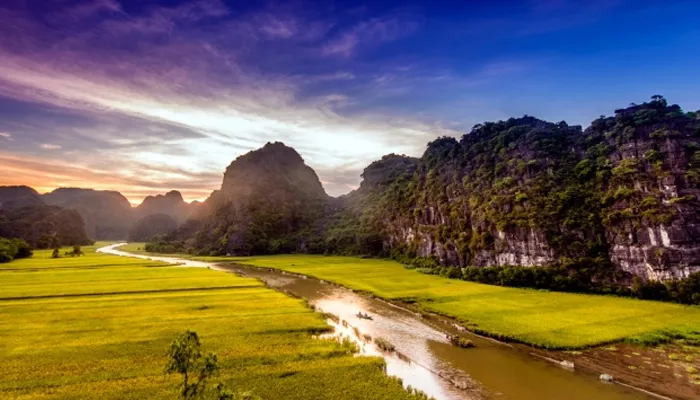 song_di_san_viet_nam