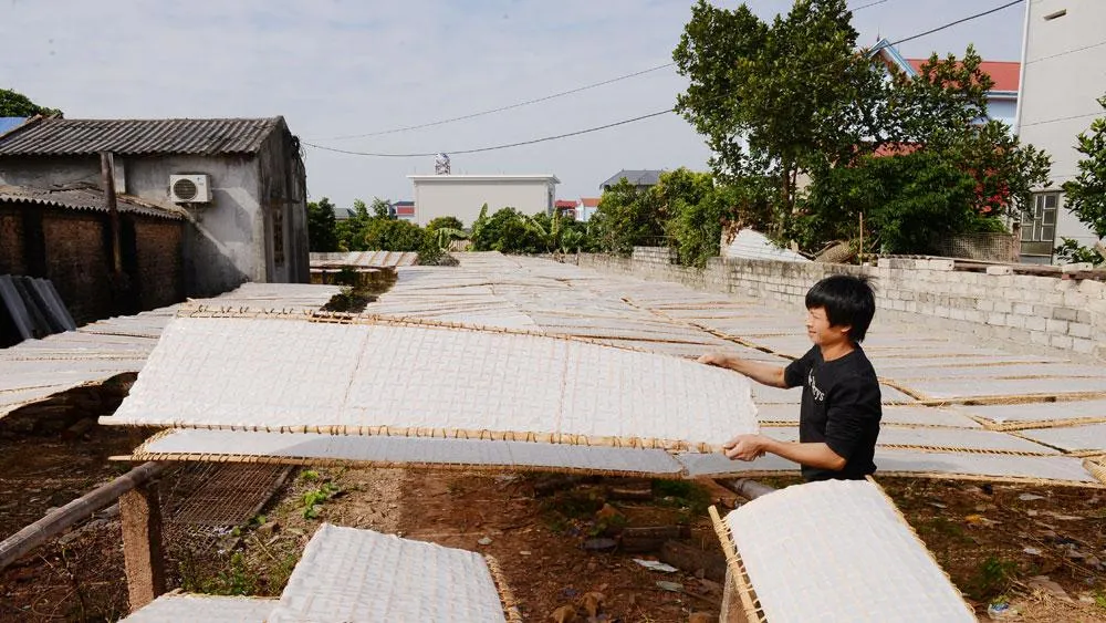 Sản xuất mỳ gạo Chũ tại làng nghề Thủ Dương. 