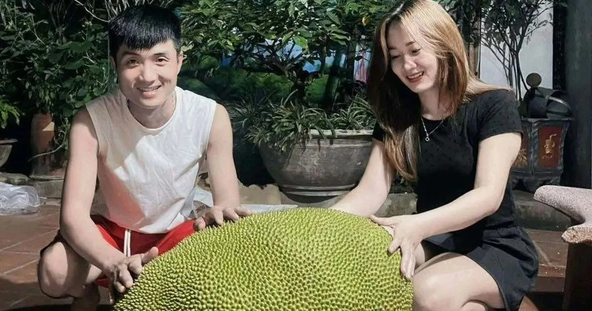 Quả mít nặng 50kg ở Bắc Ninh, mỗi năm cây cho 1-2 trái