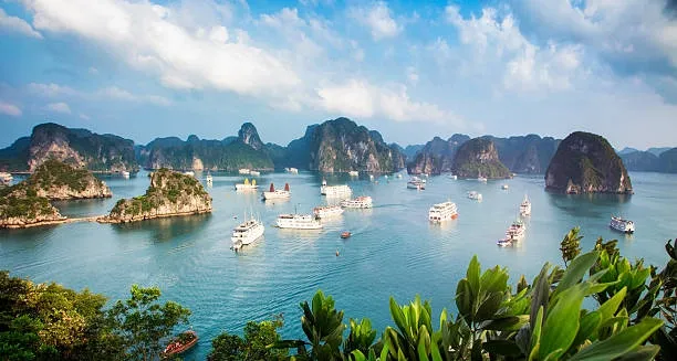 Việt Nam và 6 
