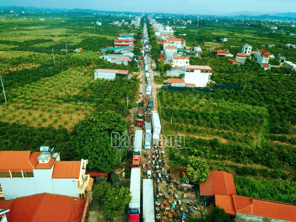 Đường về vùng vải thiều Lục Ngạn. Ảnh: Nguyễn Kế