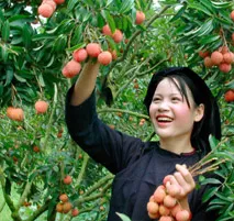 Vài nét văn hoá, tín ngưỡng trong tập tục của dân tôc Tày tỉnh Bắc Giang