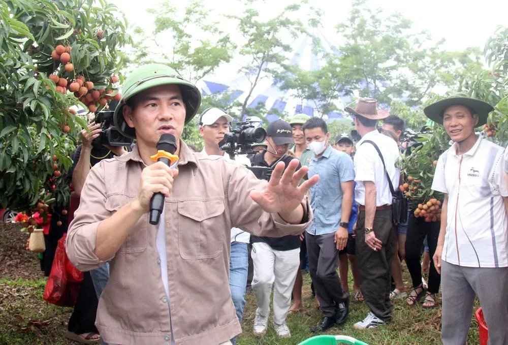  Nghệ sĩ Xuân Bắc làm MC game show thi hái vải thiều.