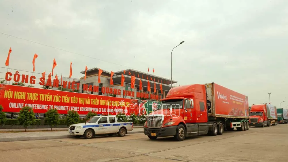 Đoàn xe xuất hành chở vải thiều xuất khẩu tại Hội nghị trực tuyến xúc tiến tiêu thụ vải thiều năm 2021. Ảnh: Thế Đại