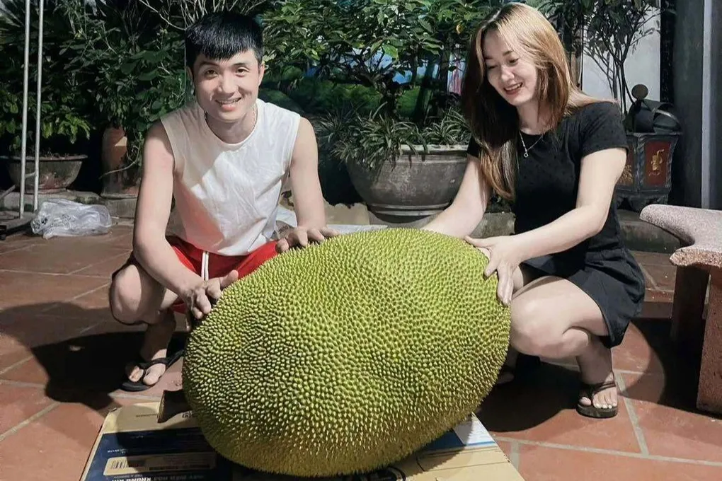 Quả mít nặng 50kg ở Bắc Ninh, mỗi năm cây cho 1-2 trái - 1