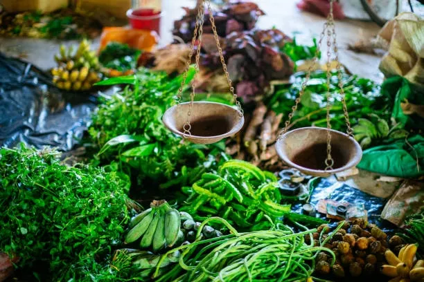 Việt Nam và 6 