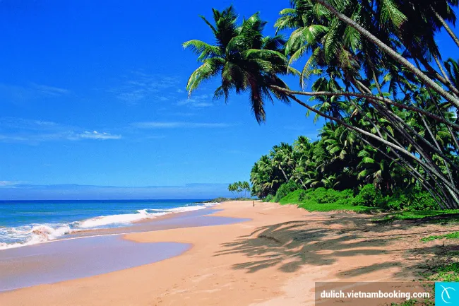 Bãi biển Goa du-lich-an-do-va-kham-pha-cac-diem-den-hap-dan-3-20-03-2017