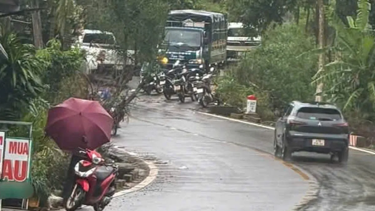 Giáo viên phi tang thi thể nữ đồng nghiệp