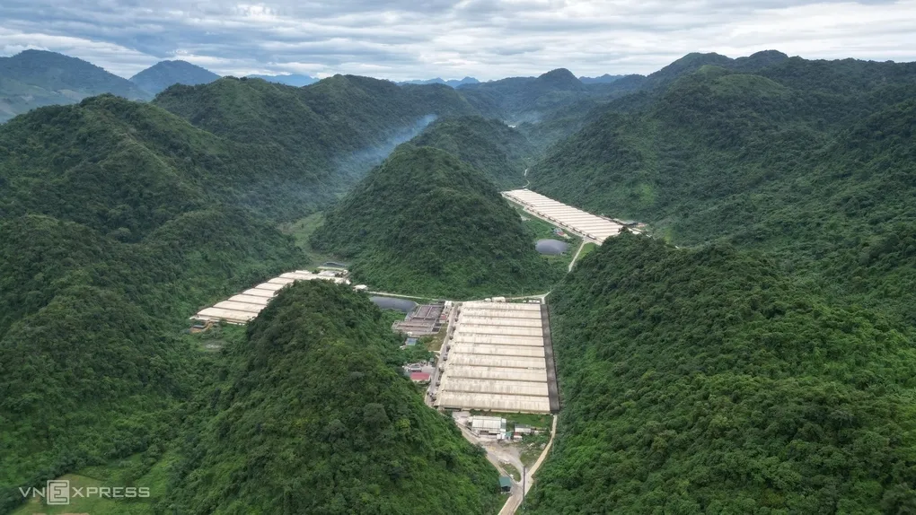 Trang trại nuôi lợn của Công ty Dabaco Thanh Hoá nằm sâu trong thung lũng núi ở xã Thạch Quảng. Ảnh: Lê Hoàng