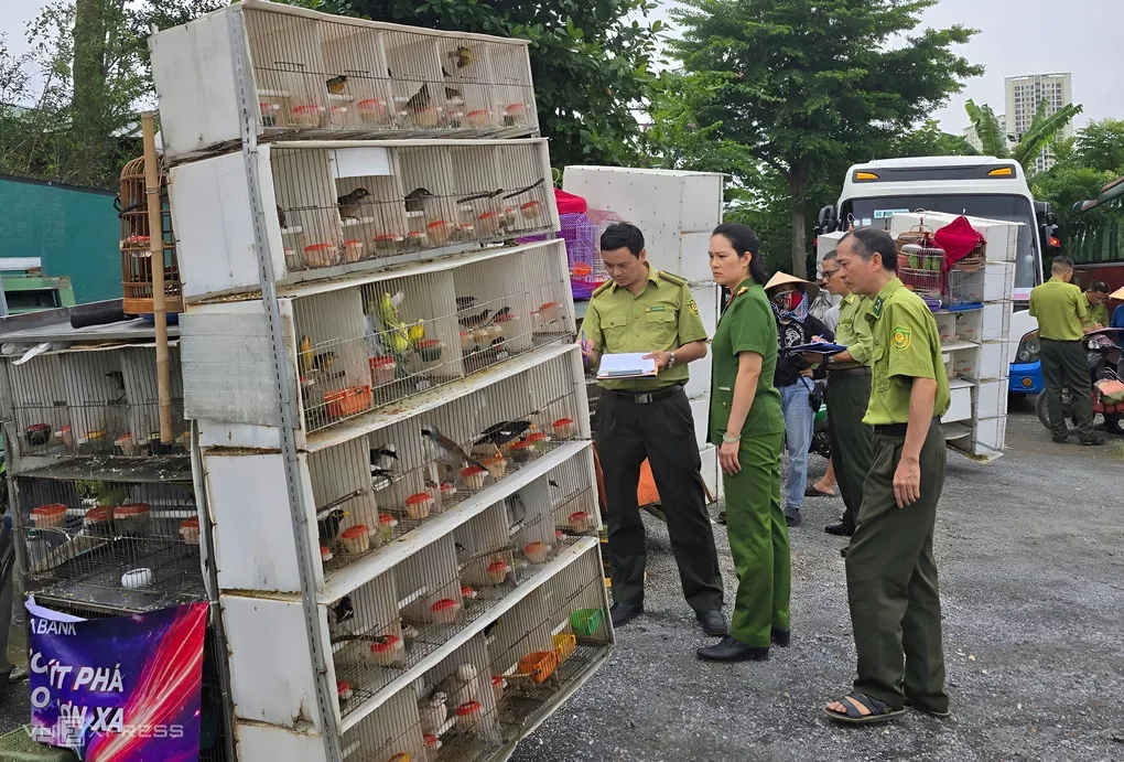 Công an và kiểm lâm kiểm tra các lồng chim, sáng 19/8. Ảnh: Linh Đan