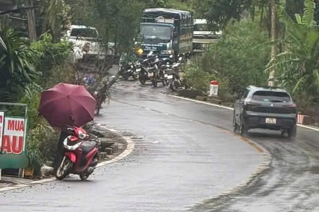 Hiện trường nơi tìm thấy thi thể nữ nhân viên thư viện. Ảnh: Ngọc Oanh