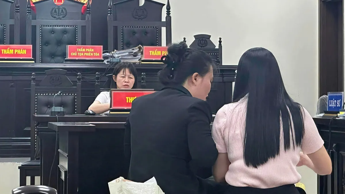 Tòa sơ thẩm 'có sai sót' trong vụ tuyên 5 năm tù với người tham ô 4 triệu đồng