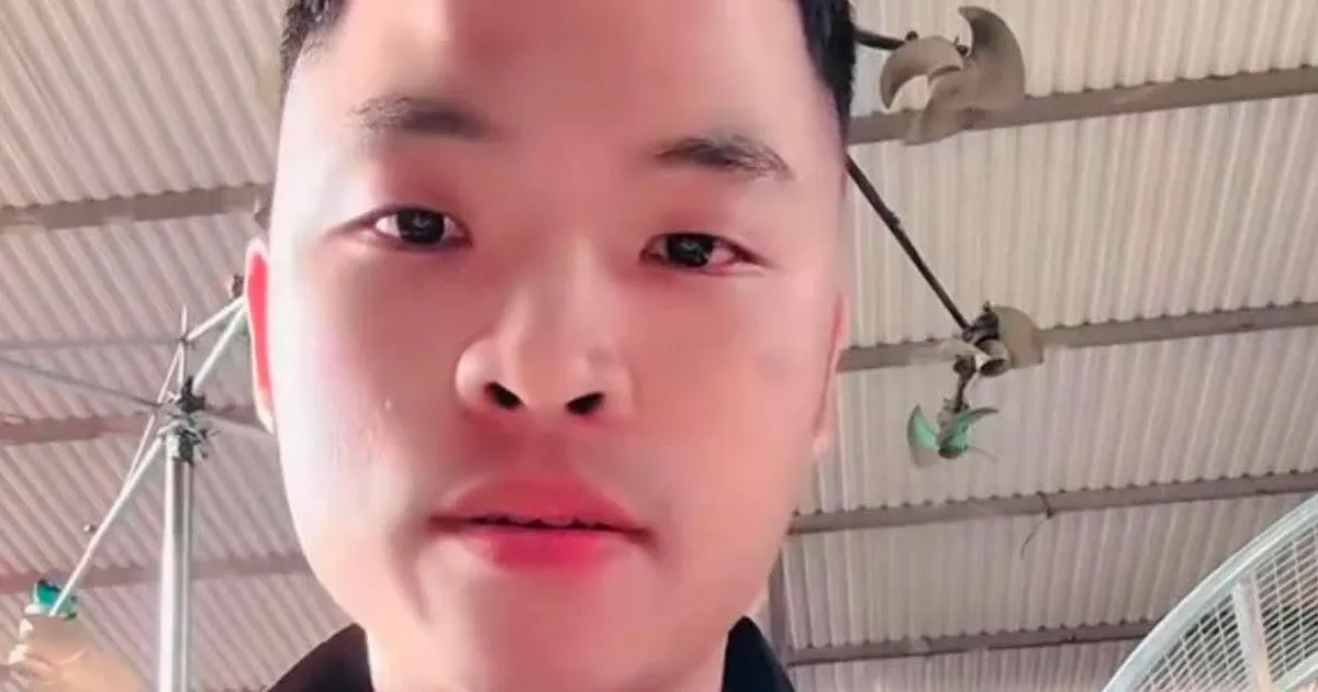 Từ vụ Khánh Sky, kéo người đến livestream chửi bới có thể phạm những tội gì?