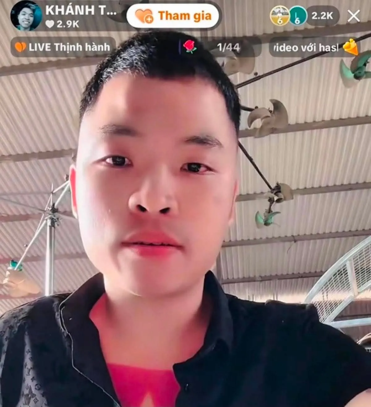 - Ảnh 1.
