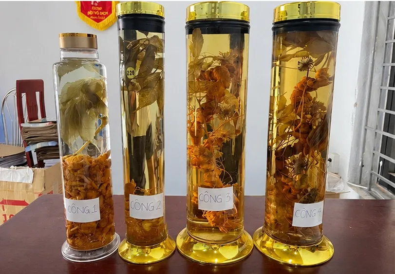Sản phẩm sâm trôi nổi gắn mác sâm Ngọc Linh do Hằng chế biến. Ảnh: Lam Sơn